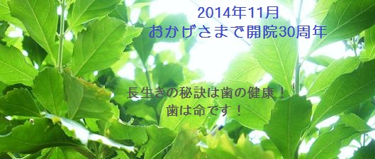 いで歯科医院 Top 命終まで健康でありますように・・・ 長生きの秘訣、すなわち歯の健康!歯は命です!
